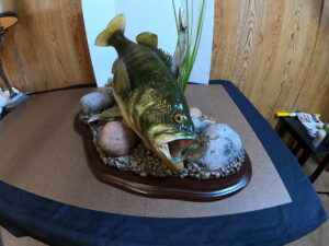 Largemouth Bass Reproduction “Guarding The Nest” – Reel Swede